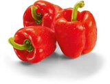 Paprika rot im Angebot bei Netto Marken-Discount in Gütersloh Paprika rot Angebote bei Netto Marken-Discount Gütersloh für 2,29 €