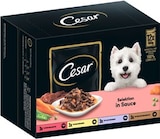 Hundenassfutter Angebote von Cesar bei REWE Wetzlar für 4,99 €