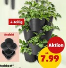 Hochbeet im Angebot bei Penny in Cuxhaven Hochbeet Angebote bei Penny Cuxhaven für 7,99 €
