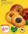 GLOBUS Koblenz - Aprikosen Angebot im Prospekt Aprikosen bei GLOBUS im Koblenz Prospekt für 6,90 €