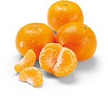 Satsumas bei Netto Marken-Discount im Kuchen Prospekt für 1,69 €