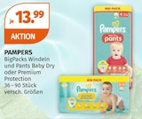 Windeln und Pants von Pampers im aktuellen Müller Prospekt für 13,99 €