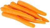 Bio Snack Möhren im Angebot bei REWE in Fellbach Bio Snack Möhren Angebote von REWE Bio bei REWE Fellbach für 1,11 €