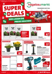 Aktueller Hagebaumarkt Baumarkt Prospekt in Hutthurm und Umgebung, "SUPER DEALS" mit 8 Seiten, 15.02.2025 - 22.02.2025