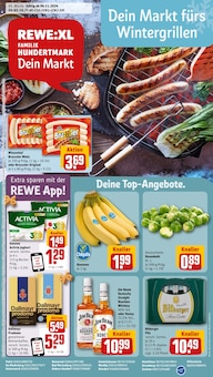 REWE Prospekt Dein Markt mit  Seiten in Mendig und Umgebung