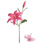 Tige lys 1 fleur et 1 bouton rose H.73cm dans le catalogue Maxi Bazar