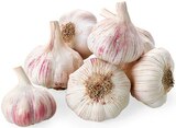 REWE Herleshausen - Knoblauch Angebot im Prospekt Knoblauch bei REWE im Herleshausen Prospekt für 0,99 €