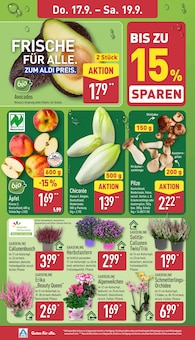 ALDI Nord Prospekt der aktuellen Woche, gültig von 14.09.2026 bis 19.09.2026 Aktueller ALDI Nord Prospekt "Aktuelle Angebote" mit 46 Seiten
