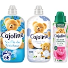 SUR TOUT - CAJOLINE dans le catalogue Carrefour