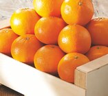 Intermarché Express Talence - Promo Clémentine Promo Clémentine à 1,69 € dans le catalogue Intermarché Express à Talence