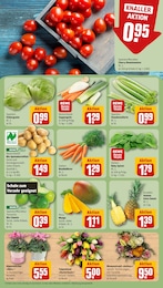 REWE Kochtopf im Prospekt 