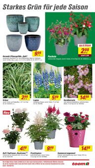 Blumentopf im aktuellen toom Baumarkt Prospekt (Reutlingen) Blumentopf im toom Baumarkt Prospekt "Respekt, wer's selber macht." mit 32 Seiten (Reutlingen)