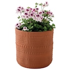 Cache-pot "Sera" ECLOZ - ECLOZ à 17,99 € dans le catalogue Jardiland