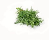 Lidl - Dill Angebot im Prospekt Dill bei Lidl im Prospekt "" für 1,49 €