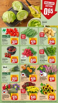Kartoffeln im aktuellen REWE Prospekt (Mannheim) Kartoffeln im REWE Prospekt "Dein Markt" mit 18 Seiten (Mannheim)