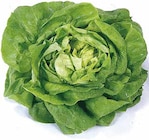 EDEKA Vellberg - Kopfsalat Angebot im Prospekt Kopfsalat bei EDEKA im Vellberg Prospekt für 0,99 €