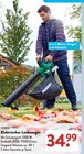 Elektrischer Laubsauger von FERREX im aktuellen ALDI SÜD Prospekt für 34,99 €