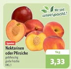 aktiv & irma Wardenburg Prospekt mit  im Angebot für 3,33 €