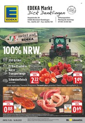 Aktueller EDEKA Supermarkt Prospekt in Birken-Honigsessen und Umgebung, "Aktuelle Angebote" mit 24 Seiten, 11.08.2025 - 16.08.2025