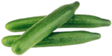 Salatgurken bei E aktiv markt im Prospekt "" für 0,49 €