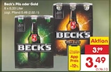 Aktuelles Pils oder Gold Angebot bei Netto Marken-Discount in Chemnitz ab 3,49 €