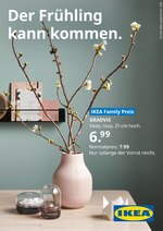 IKEA Prospekt für Hilden mit 1 Seiten IKEA Prospekt für Hilden: "Der Frühling kann kommen.", 1 Seiten, 08.03.2021 - 15.03.2021
