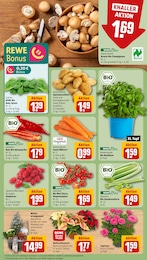 Topf Angebot & Preis im aktuellen REWE Prospekt Topf Angebot im aktuellen REWE Prospekt auf Seite 7