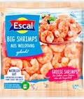 Shrimps von Escal im aktuellen GLOBUS Prospekt