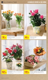 Plantes Angebote im Prospekt "-60% DE REMISE IMMÉDIATE SUR LE 2ÈME" von Intermarché Super Plantes Angebote im Prospekt "-60% DE REMISE IMMÉDIATE SUR LE 2ÈME" von Intermarché Super auf Seite 12