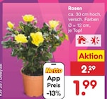 Rosen Angebot in Eggersdorf Rosen im aktuellen Prospekt bei Netto Marken-Discount in Eggersdorf