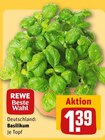 Basilikum im Angebot bei REWE in Gießen Basilikum Angebote von REWE Beste Wahl bei REWE Gießen für 1,39 €