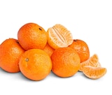 Bio-Mandarinen bei Penny im St. Wendel Prospekt für 1,69 €