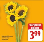 Sonnenblumen von  im aktuellen E center Prospekt für 3,99 €