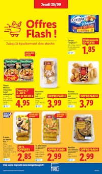 Promo Entretien Maison dans le catalogue Lidl du moment à la page 13