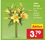 Lilien Strauß im Angebot bei Netto Marken-Discount in Pirmasens Lilien Strauß Angebote bei Netto Marken-Discount Pirmasens für 3,79 €