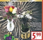 Schmetterlingsorchidee im Glückswürfel im aktuellen EDEKA Prospekt