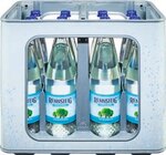Netto Marken-Discount - Mineralwasser Angebot im Prospekt Mineralwasser bei Netto Marken-Discount im Prospekt "" für 3,99 €