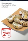 Riesengarnelen im Angebot bei GLOBUS in Neuwied Riesengarnelen Angebote bei GLOBUS Neuwied für 2,49 €