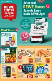 REWE Prospekt für Rodgau mit 36 Seiten REWE Prospekt für Rodgau: "Dein Markt", 36 Seiten, 13.01.2025 - 18.01.2025