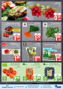 Pflanzen im aktuellen EDEKA Prospekt (Kiel) Pflanzen im EDEKA Prospekt "Top Angebote" mit 12 Seiten (Kiel)
