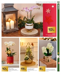 Offre Plantes dans le catalogue Carrefour du moment à la page 71