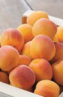 Promo Abricot à 2,49 € dans le catalogue Intermarché Hyper à Bernay