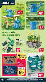 Garten im Netto mit dem Scottie Prospekt in Chemnitz Aktueller Netto mit dem Scottie Prospekt mit Garten, "Günstig. Besser. Für Dich.", Seite 24