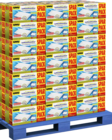 UHU Luftentfeuchter im Angebot bei BAUHAUS in Grevenbroich UHU Luftentfeuchter Angebote bei BAUHAUS Grevenbroich für 8,49 €