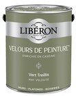 Peinture(d) murs, plafonds et boiseries Velours de peinture vert treillis Liberon 2,5 L - Liberon - Castorama à Gennevilliers Peinture(d) murs, plafonds et boiseries Velours de peinture vert treillis Liberon 2,5 L - Liberon en promo chez Castorama Gennevilliers à 54,90 €