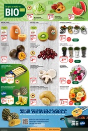Aktueller GLOBUS Prospekt mit Ananas, "Aktuelle Angebote", Seite 13