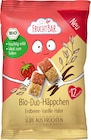 Aktuelles Kindersnack Duo-Häppchen mit Erdbeere, Vanille & Hafer, ab 12 Monaten Angebot bei dm-drogerie markt in Mönchengladbach ab 0,95 €