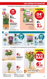 Chrysanthèmes Angebote im Prospekt "Hyper U" von Hyper U auf Seite 35