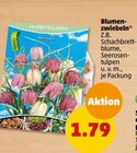 Blumenzwiebeln im Angebot bei Penny-Markt in Rheine Blumenzwiebeln Angebote bei Penny-Markt Rheine für 1,79 €