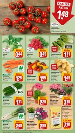 Aktueller REWE Prospekt mit Kartoffeln, "Dein Markt", Seite 9